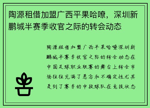 陶源租借加盟广西平果哈嘹，深圳新鹏城半赛季收官之际的转会动态